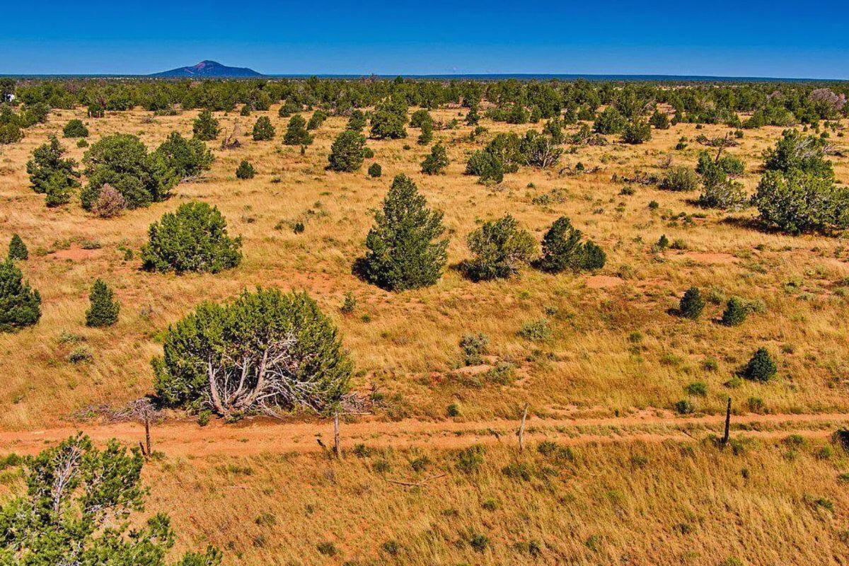 Next to Public Land w/ Trees - 3411 E VALLE RD WILLIAMS, AZ 86046
