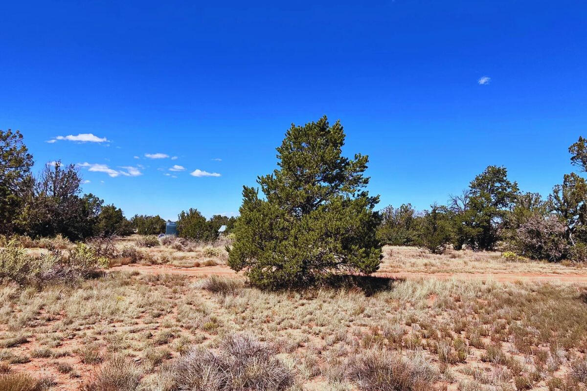 Next to Public Land w/ Trees - 3411 E VALLE RD WILLIAMS, AZ 86046