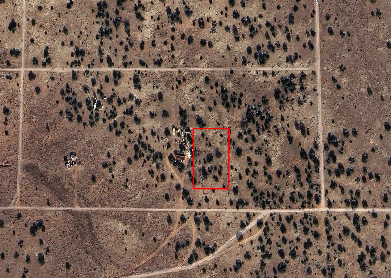 Next to Public Land w/ Trees - 3411 E VALLE RD WILLIAMS, AZ 86046