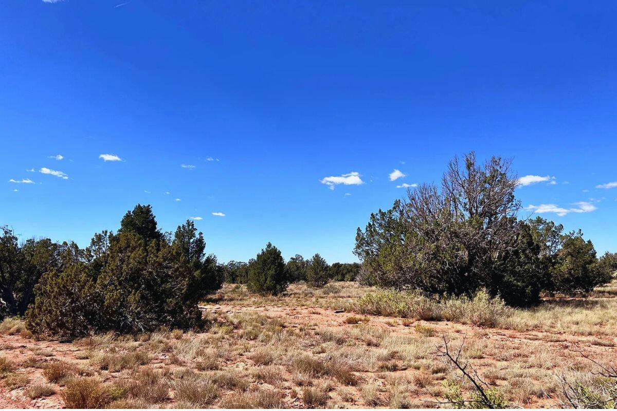 Next to Public Land w/ Trees - 3411 E VALLE RD WILLIAMS, AZ 86046